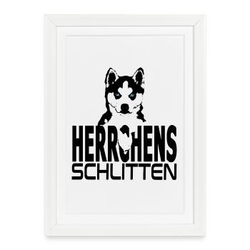 Illustration de chien husky - Siège de maître - Affiche encadrée (27 × 37 cm) - blanc - Devant