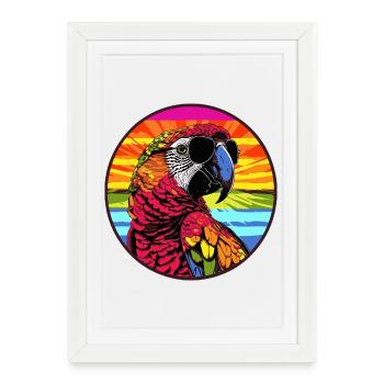 Perroquet coloré avec des lunettes de soleil - Affiche encadrée (27 × 37 cm) - blanc - Devant