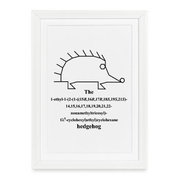 Molécule de hérisson - Nomenclature IUPAC Blague -b - Affiche encadrée (27 × 37 cm) - blanc - Devant
