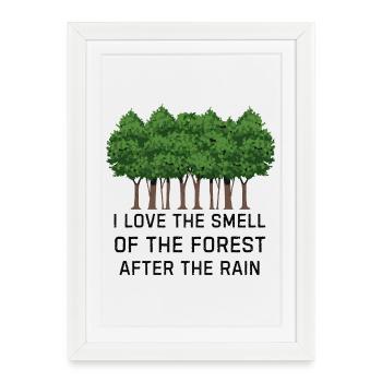 Forêt après la pluie - Affiche encadrée (27 × 37 cm) - blanc - Devant