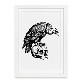 Vulture sitting on the skull. - Framed poster (27 × 37 cm) - white - Front