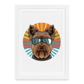 Yorkie avec lunettes de soleil rétro soleil - Affiche encadrée (27 × 37 cm) - blanc - Devant