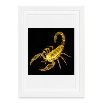 Scorpion néon la nuit - Affiche encadrée (27 × 37 cm) - blanc - Devant