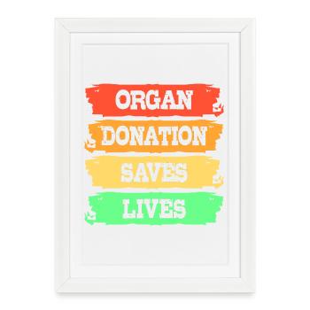 Donneur d’organes du foie Don d’organes du foie - Affiche encadrée (27 × 37 cm) - blanc - Devant