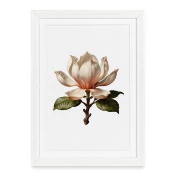 Magnolia Illustration Botanique Élégante - Affiche encadrée (27 × 37 cm) - blanc - Devant