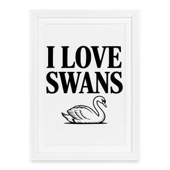I Love Swans - Framed poster (27 × 37 cm) - white - Front