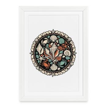 Mer des coquillages - Affiche encadrée (27 × 37 cm) - blanc - Devant
