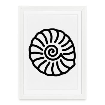 fossile - Affiche encadrée (27 × 37 cm) - blanc - Devant