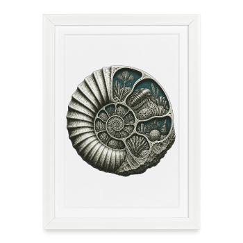 Ammonite Fossil Prehistoric Reef Cutaway - Framed poster (27 × 37 cm) - white - Front