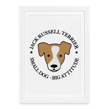 Jack Russell Terrier - Affiche encadrée (27 × 37 cm) - blanc - Devant