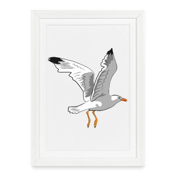 Mouette élégante en vol - Affiche encadrée (27 × 37 cm) - blanc - Devant