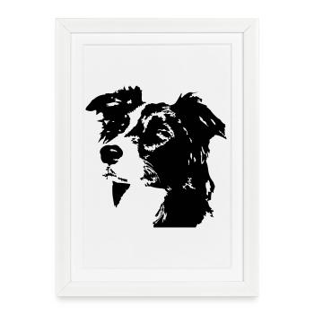 Border Collie Head - Affiche encadrée (27 × 37 cm) - blanc - Devant