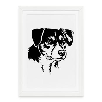 Dansk Svensk Gaardhond Tête - Affiche encadrée (27 × 37 cm) - blanc - Devant