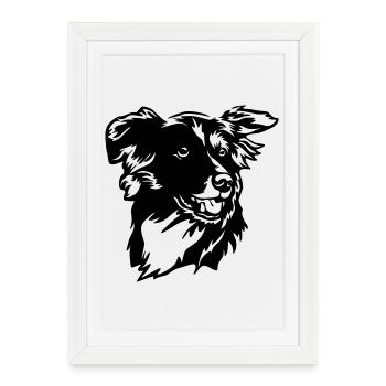 Border Collie Kopf - Affiche encadrée (27 × 37 cm) - blanc - Devant