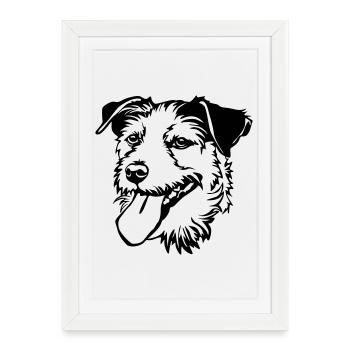 Parson Russel Terrier tête - Affiche encadrée (27 × 37 cm) - blanc - Devant