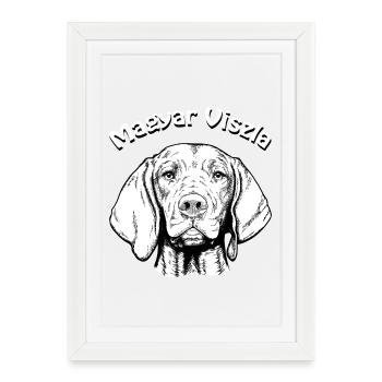 Magyar Viszla Shorthair Portrait - Framed poster (27 × 37 cm) - white - Front