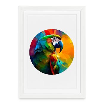 Perroquet ara coloré - Affiche encadrée (27 × 37 cm) - blanc - Devant
