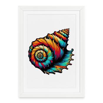 Shell - Framed poster (27 × 37 cm) - white - Front