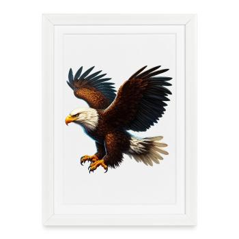 Aigle - Affiche encadrée (27 × 37 cm) - blanc - Devant