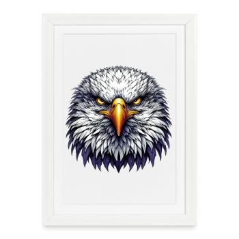 Aigle - Affiche encadrée (27 × 37 cm) - blanc - Devant