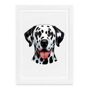 Chien dalmatien - Affiche encadrée (27 × 37 cm) - blanc - Devant