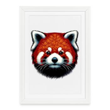 Petit panda - Affiche encadrée (27 × 37 cm) - blanc - Devant