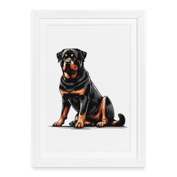 Rottweiler - Affiche encadrée (27 × 37 cm) - blanc - Devant