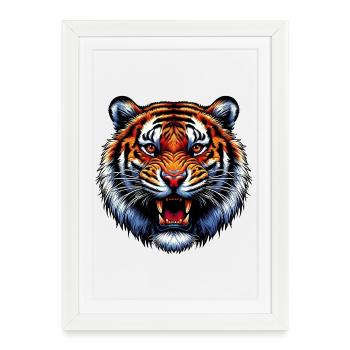 Tigre - Affiche encadrée (27 × 37 cm) - blanc - Devant