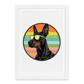 Doberman cool avec des lunettes de soleil au look rétro - Affiche encadrée (27 × 37 cm) - blanc - Devant