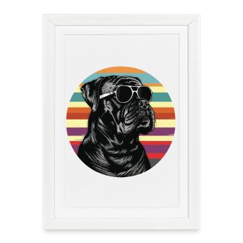 Chien cool avec des lunettes de soleil - Affiche encadrée (27 × 37 cm) - blanc - Devant