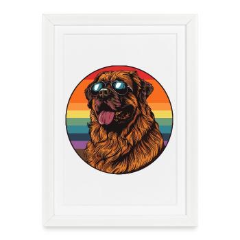 Labrador au design rétro arc-en-ciel - Affiche encadrée (27 × 37 cm) - blanc - Devant