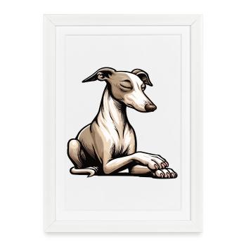 Whippet Greyhound Whippets Propriétaire de lévrier - Affiche encadrée (27 × 37 cm) - blanc - Devant