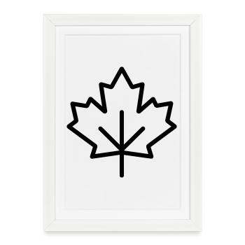 maple leaf - Framed poster (27 × 37 cm) - white - Front