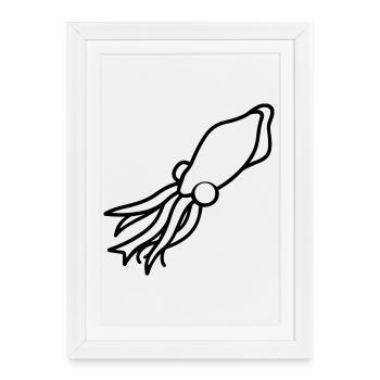 calmar - Affiche encadrée (27 × 37 cm) - blanc - Devant