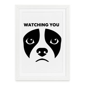 Dog View te regardant dire - Affiche encadrée (27 × 37 cm) - blanc - Devant