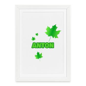 Anton de l’arbre - Affiche encadrée (27 × 37 cm) - blanc - Devant