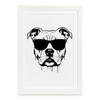 Graffiti des lunettes Pitbull - Affiche encadrée (27 × 37 cm) - blanc - Devant