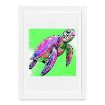 tortue - Affiche encadrée (27 × 37 cm) - blanc - Devant