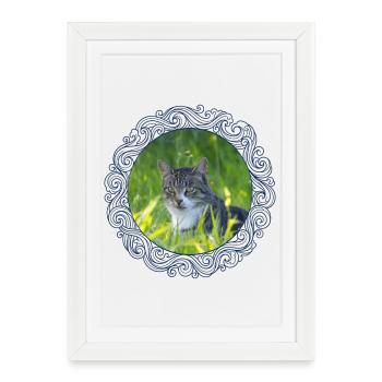 Chats, chats mâle, chats d’extérieur - Affiche encadrée (27 × 37 cm) - blanc - Devant