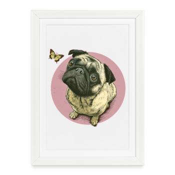 Carlin avec papillon - Affiche encadrée (27 × 37 cm) - blanc - Devant