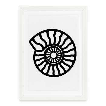 ammonite - Affiche encadrée (27 × 37 cm) - blanc - Devant
