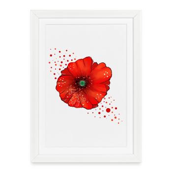 Art du pavot coquelicot - Affiche encadrée (27 × 37 cm) - blanc - Devant