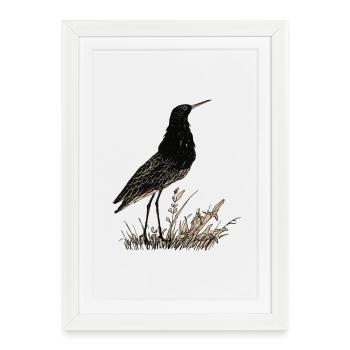 Oiseau - Affiche encadrée (27 × 37 cm) - blanc - Devant