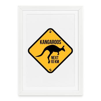 kangaroo - australia - Framed poster (27 × 37 cm) - white - Front