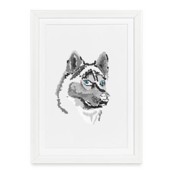 Husky - Framed poster (27 × 37 cm) - white - Front