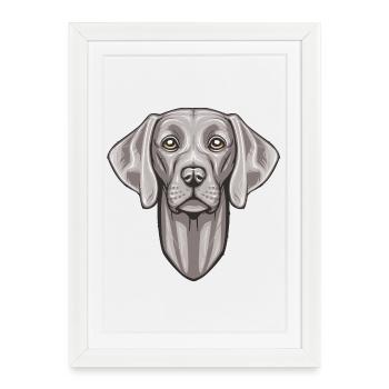 Weimaraner - Affiche encadrée (27 × 37 cm) - blanc - Devant
