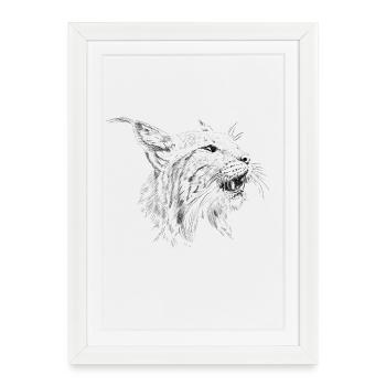 Lynx - Affiche encadrée (27 × 37 cm) - blanc - Devant