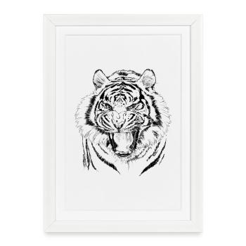 tiger - Affiche encadrée (27 × 37 cm) - blanc - Devant