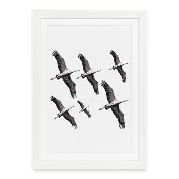 Bird migration cranes - Framed poster (27 × 37 cm) - white - Front