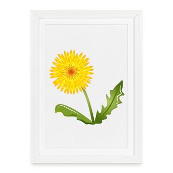 pissenlits jaune vif avec des feuilles vertes - Affiche encadrée (27 × 37 cm) - blanc - Devant
